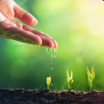 water my plants home page